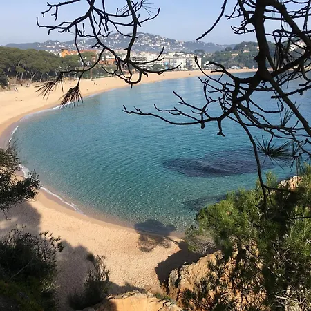 Lägenhet In Lloret By The *