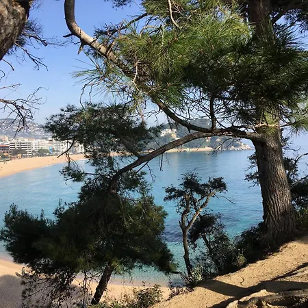 Apartamento In Lloret By The