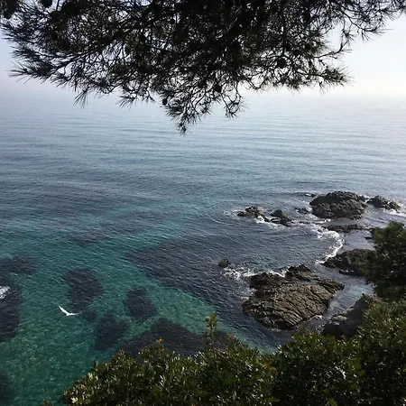 In Lloret By The Lloret de Mar