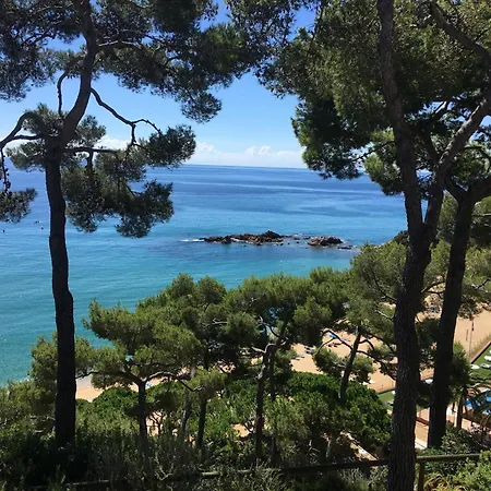 Appartement In Lloret By The